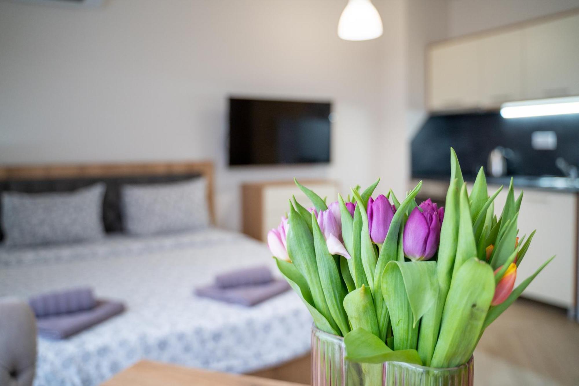 Wow Studios For Rent - Bul Montevideo 25A - B София Экстерьер фото